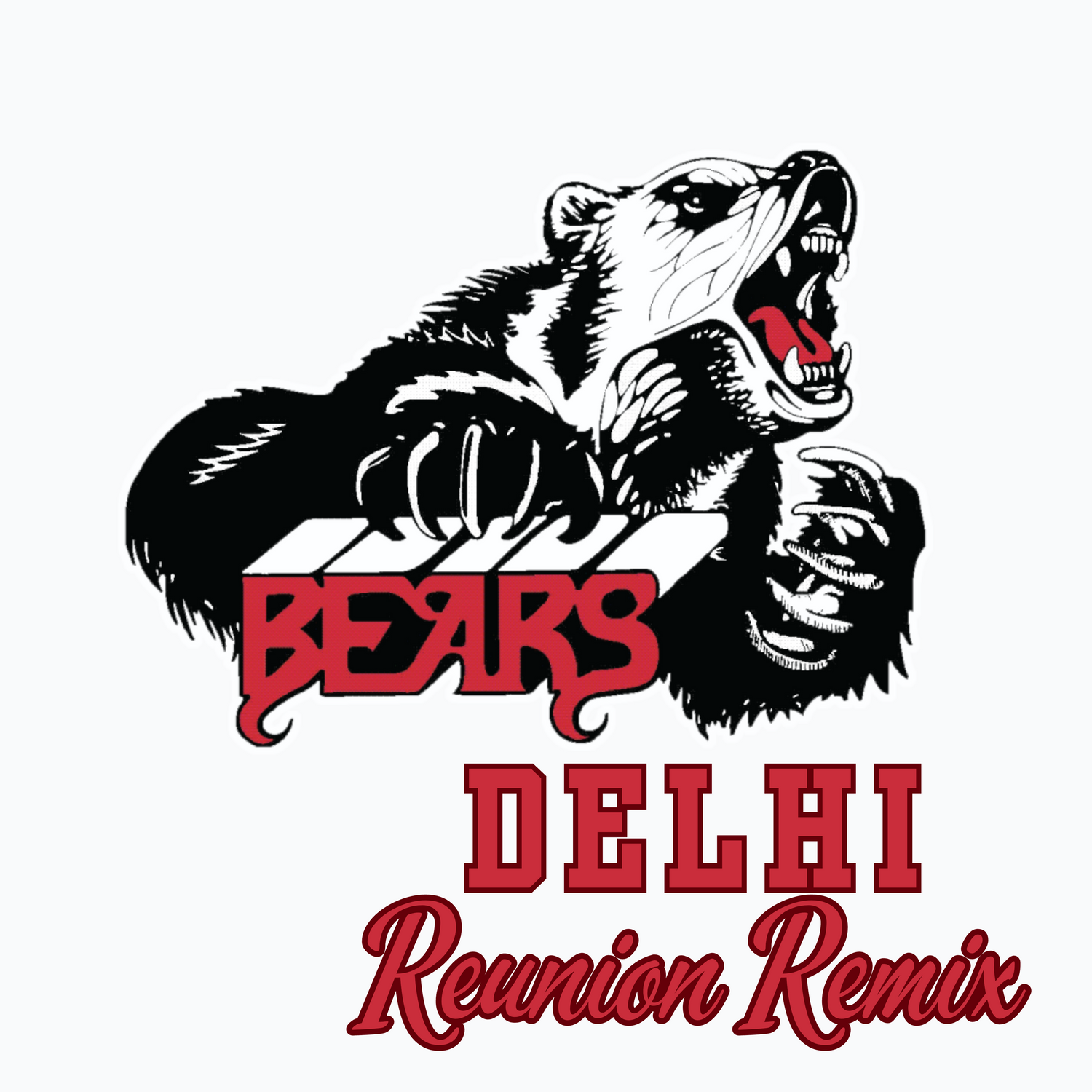 Delhi Bears Class Reunion T-shirts